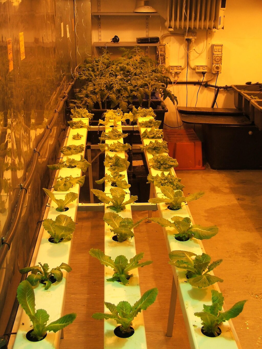 Hydroponics growing methods — Australian Antarctic Program