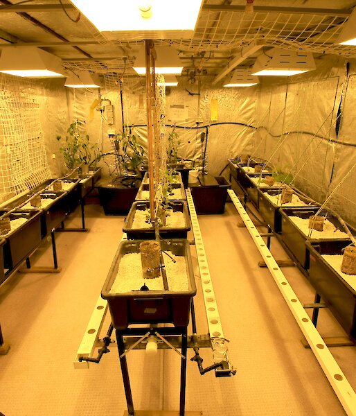 Clean hydroponics lab at Mawson