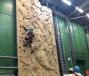 Expeditioner wearing harness and helmut climbing the indoor rock climbing wall