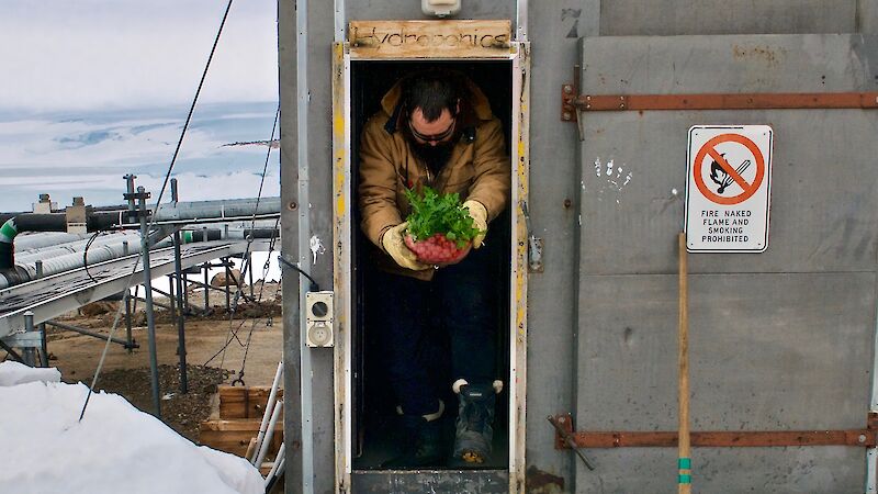 An expeditioner, holding a bowl of tomatoes and lettuce leaves, exits a shed through a small door with a wooden sign above saying Hydroponics. There is snow and pipelines outside the hut