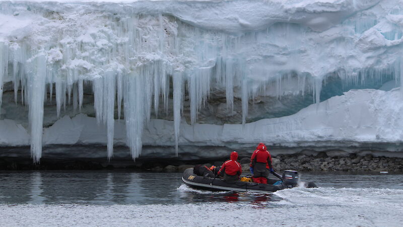 Expeditioners in a small inflatable boat motor past an icy coastline. There are long icicles hanging from an icy ledge.
