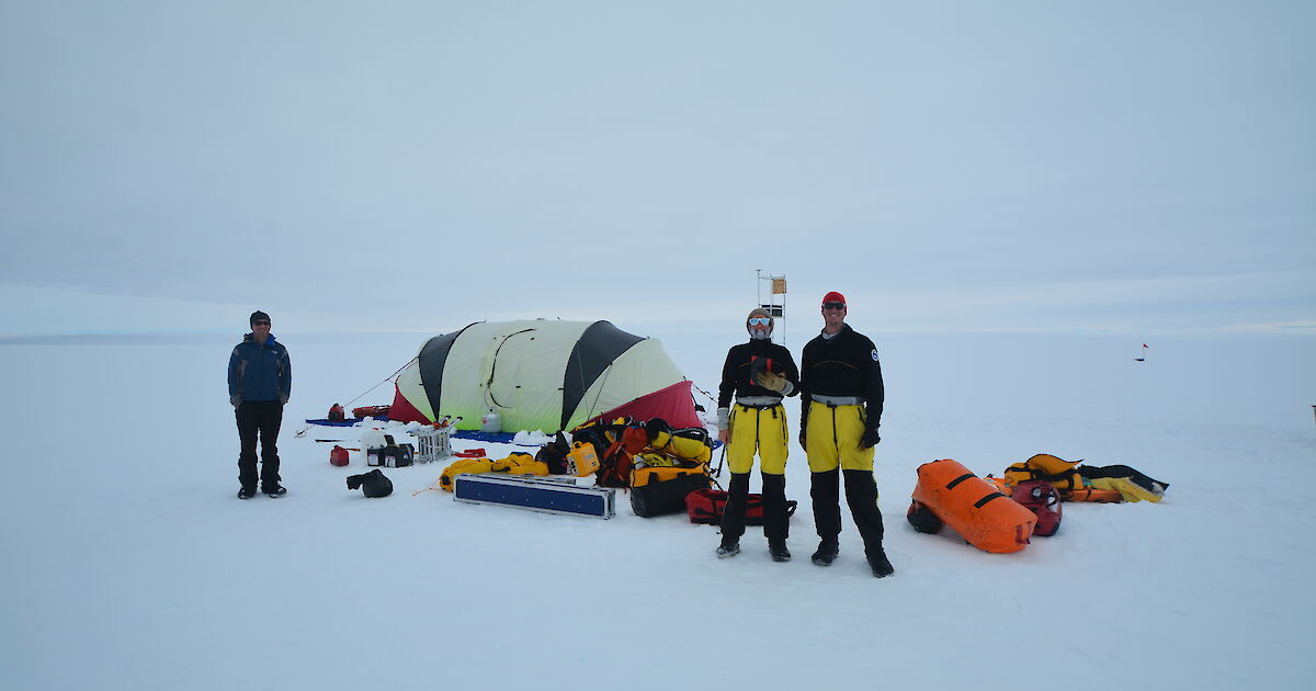 How Many People Live In Antarctica Australian Antarctic