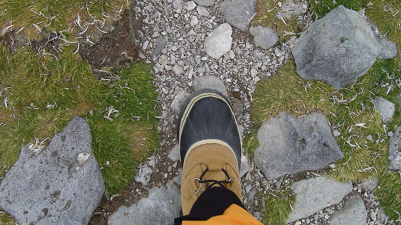 View of tourist's foot on the rocky path