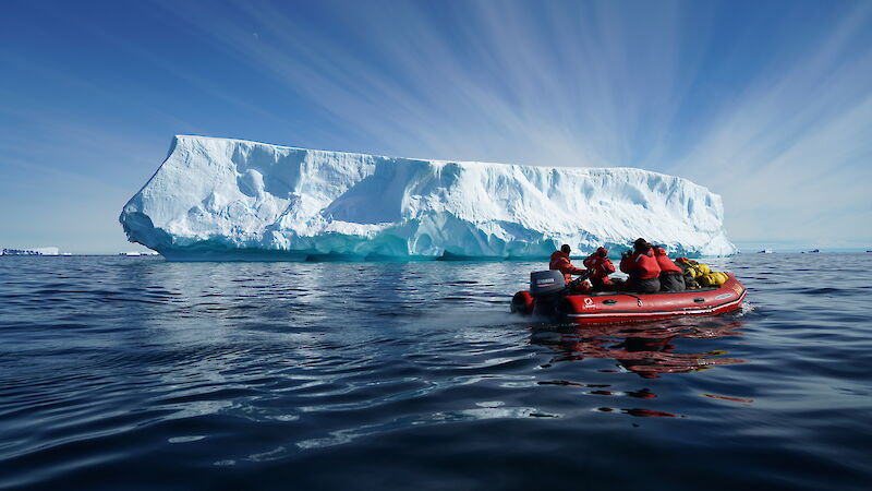 Expeditioners in boat cruising past icebergs