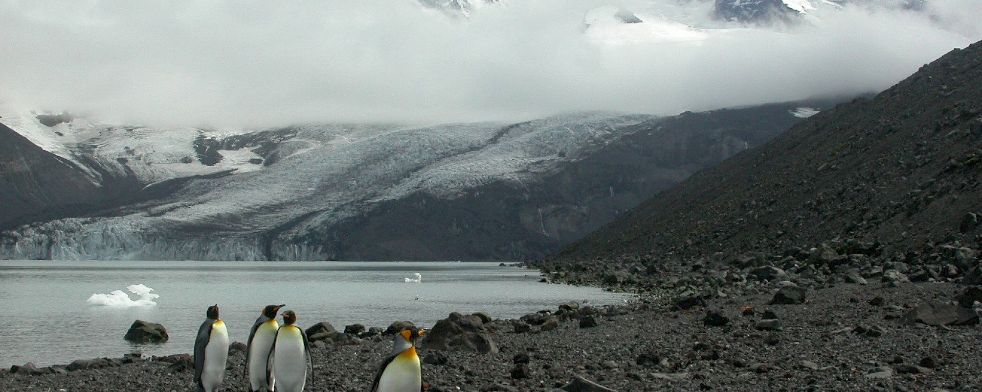 Penguins walk past the lake at the base of a snow-capped mountain.