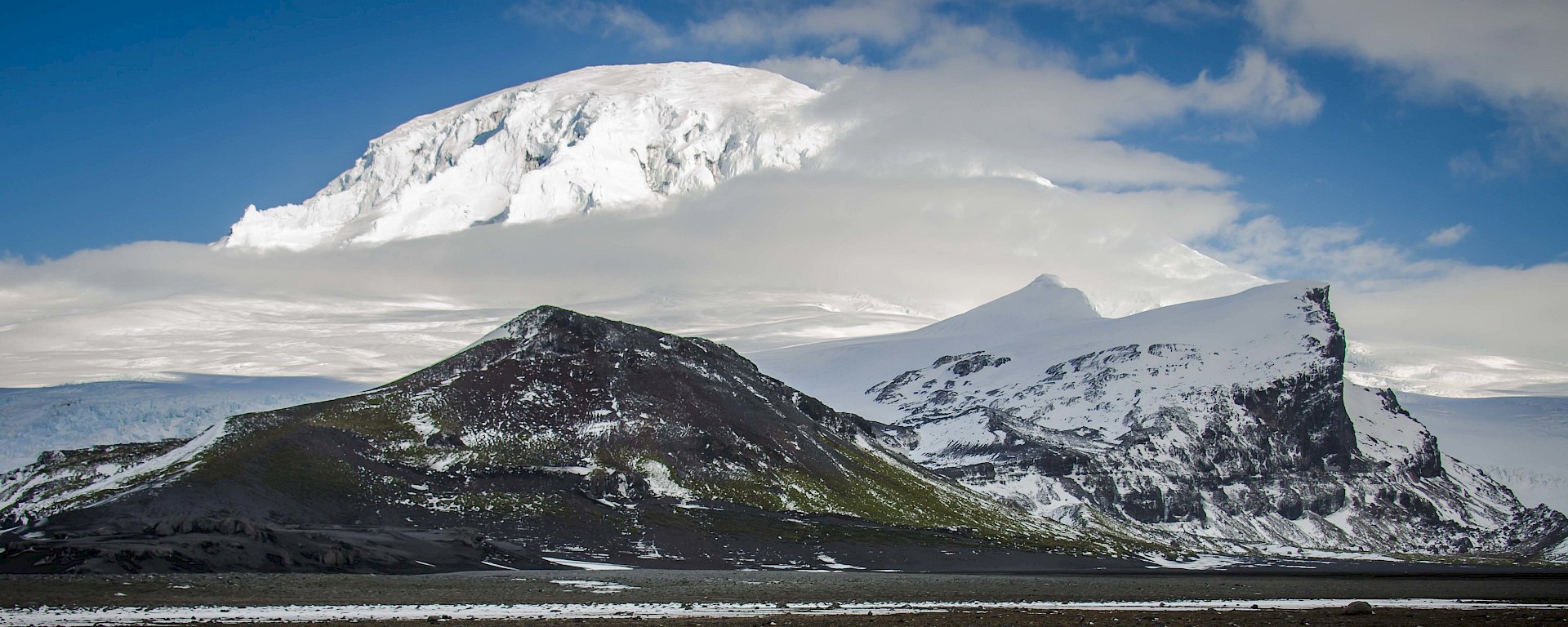 King penguins standing on a grey rocky shore with the volcano Big Ben looming behind them