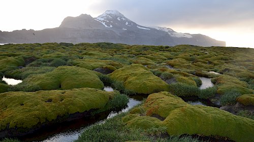 Coastal landscape of island shoreline with ice chunks on sand