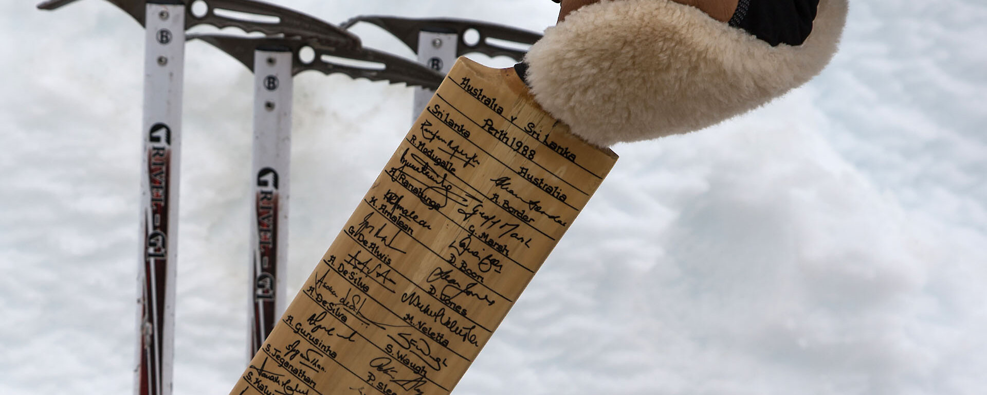 Close-up of signed cricket bat