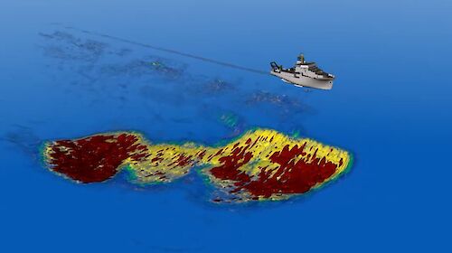 A 3D model of a live krill swarm 400 metres long, 200 metres wide, and 100 metres deep