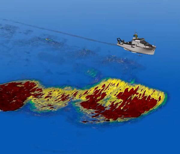 A 3D model of a live krill swarm 400 metres long, 200 metres wide, and 100 metres deep