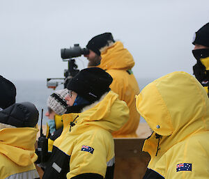 group of whale observers with binoculars