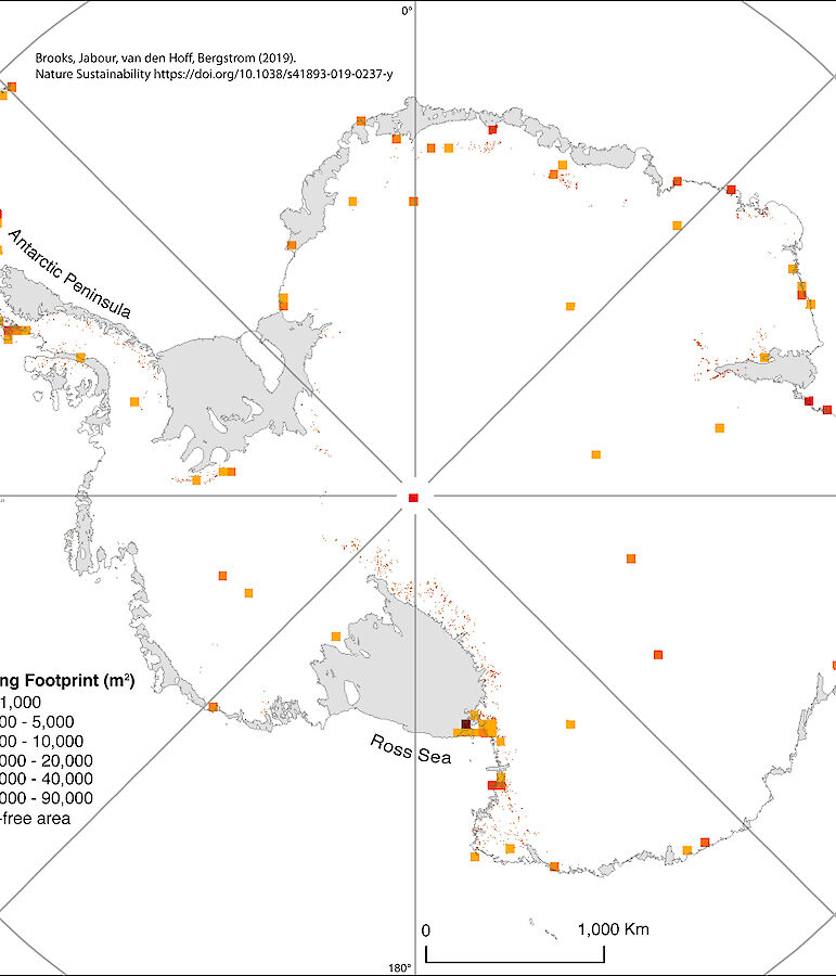 Icefree areas are hot property in Antarctica Australian Antarctic
