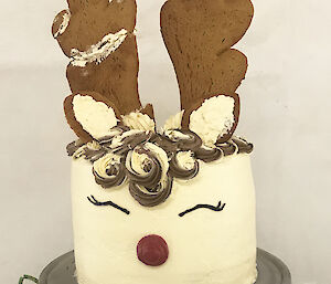 Rudolph mud cake