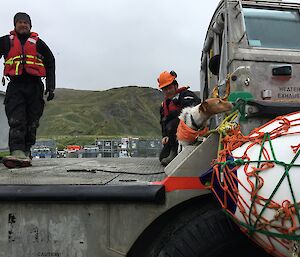 Two men and a dog on an amphibious vehicle