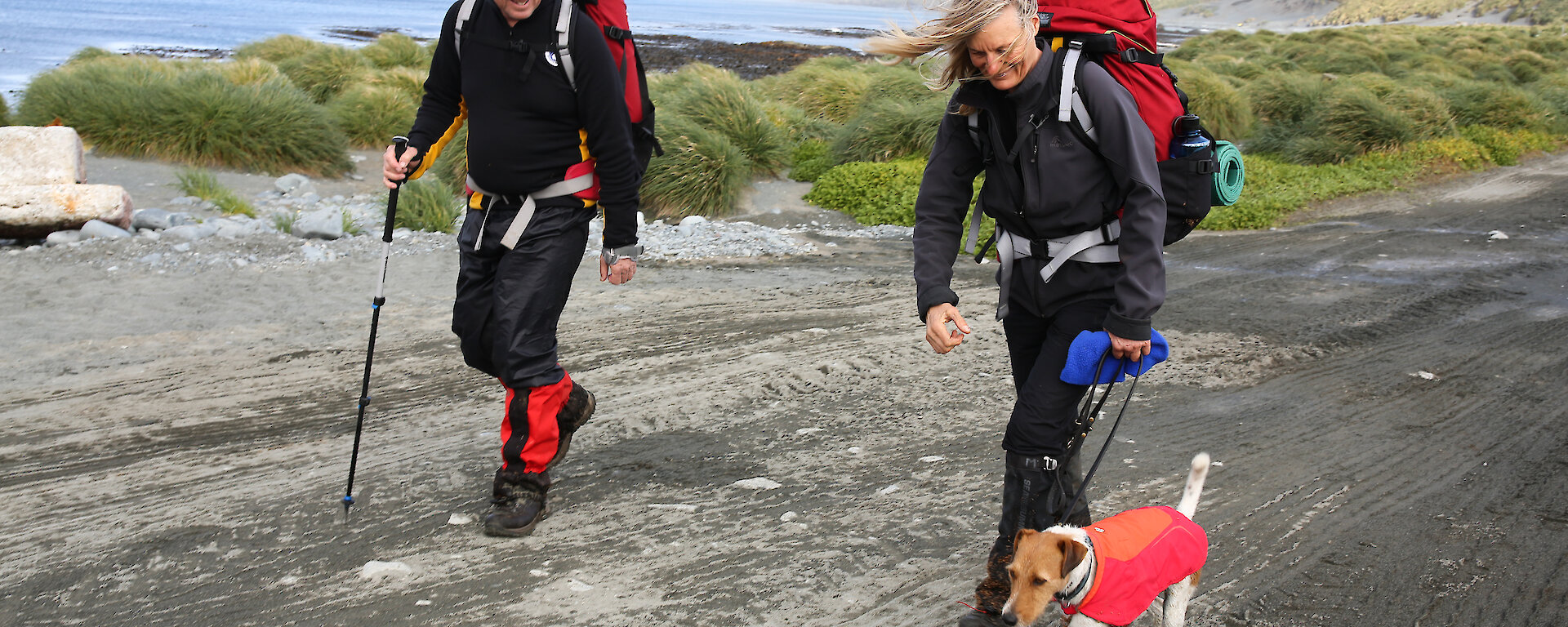 two people and dog walking along a track at Macquarie Island