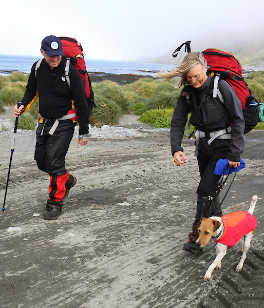 two people and dog walking along a track at Macquarie Island