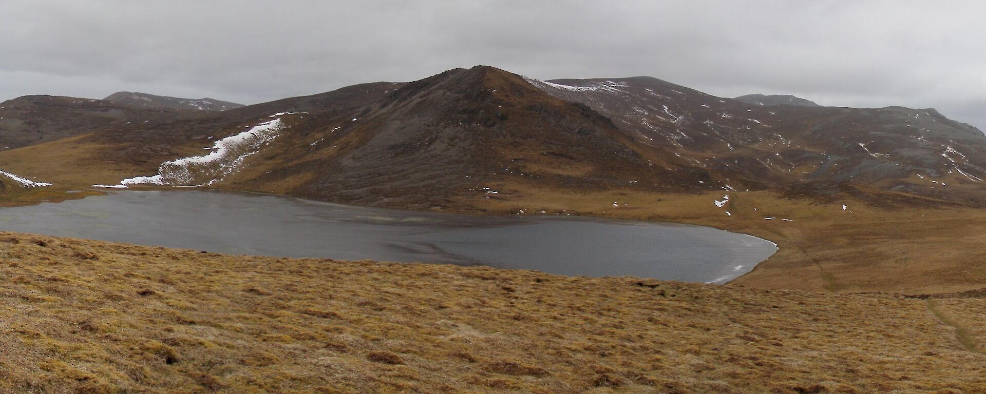 Square Lake on Macquarie Island where the new diatom species, was found.