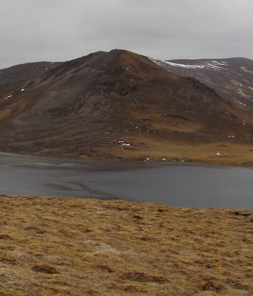 Square Lake on Macquarie Island where the new diatom species, was found.
