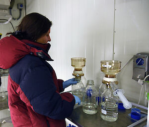 Dr Petrou filtering phytoplankton samples in a 0°C containerised laboratory at Davis research station.
