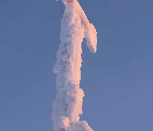 frosted anemometer