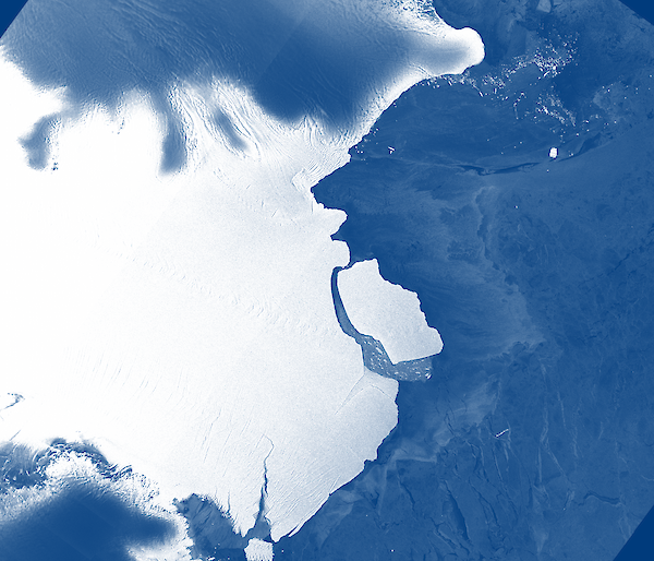 Satellite image of large iceberg calving off an ice shelf.