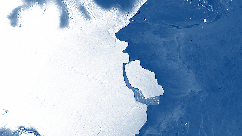 Satellite image of large iceberg calving off an ice shelf.
