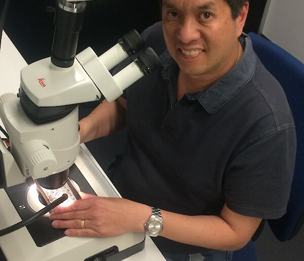 Australian Antarctic Division palaeoclimate scientist Dr Andrew Moy examines planktonic and benthic foraminifera shells extracted from ocean sediments