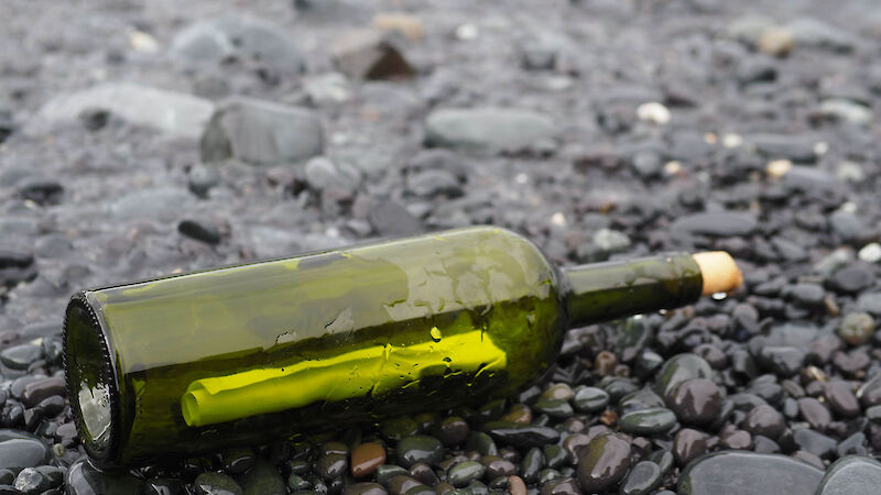 A green bottle on the shore