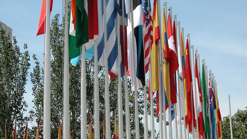 Photo of colourful flags