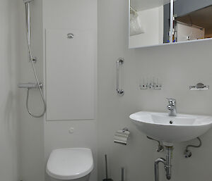 A cabin ensuite showing toilet, shower and basin.