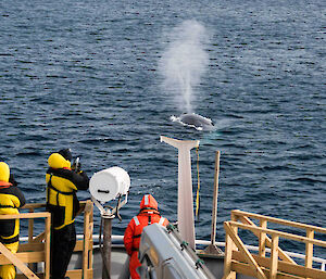 Whale observers on the bow of a ship.