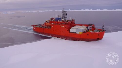 Aurora Australis ship in the pack ice