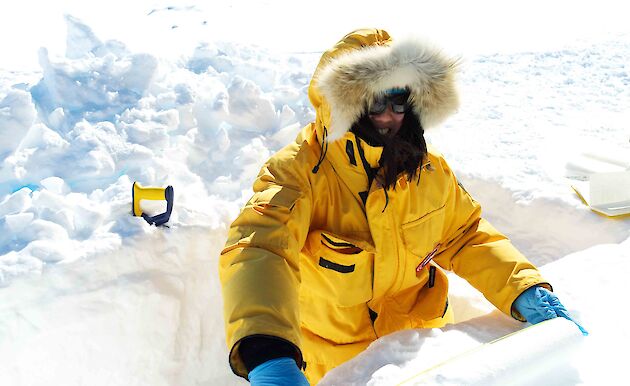Scientist processing an ice core in Antarctica