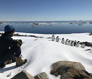 Scott knealing down and being approached by a waddle of penguins with the bay in the background