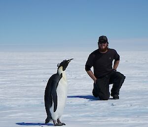 A lonely emperor with James in the background surrounded by snow