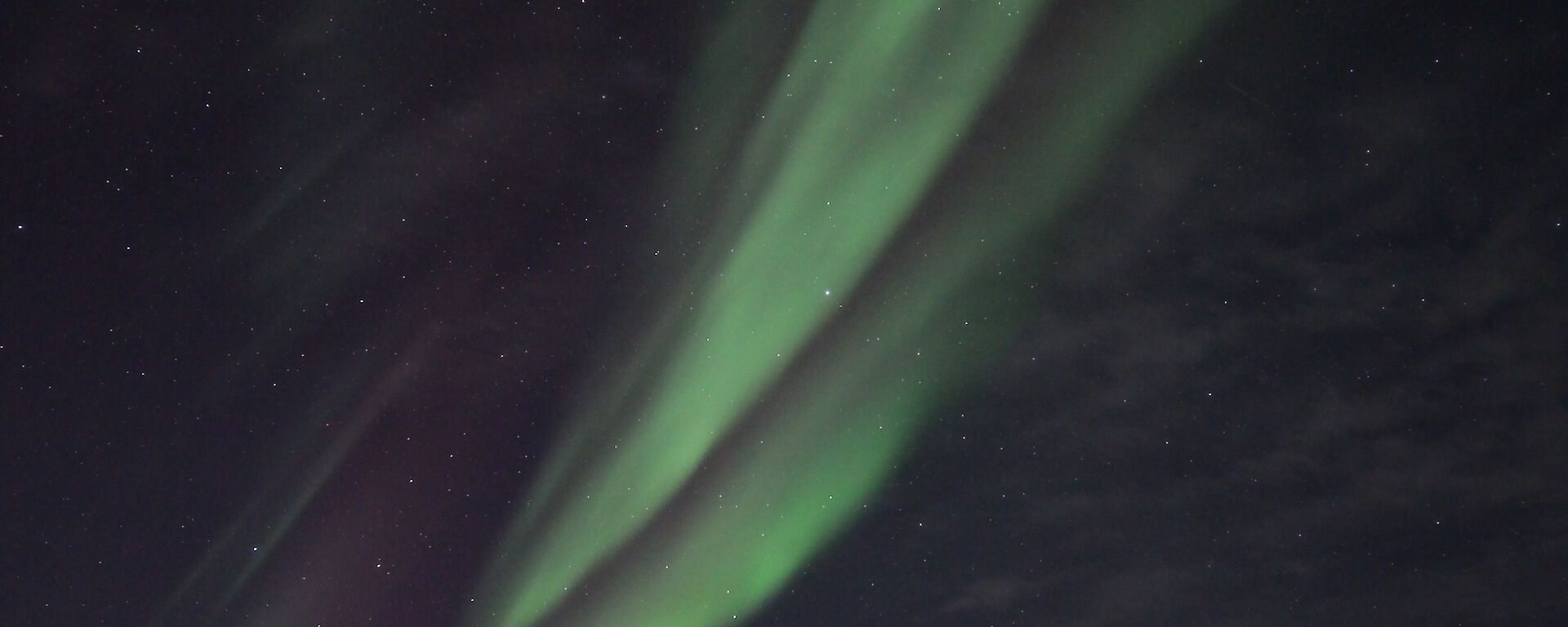 A green aurora from the horizon up into the night sky