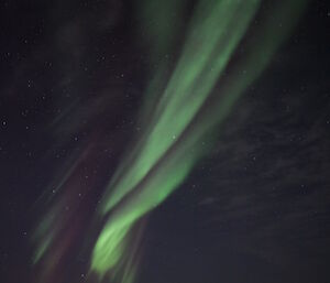 A green aurora from the horizon up into the night sky