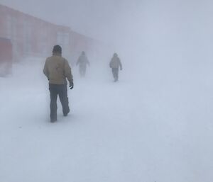 Three Caset team membes walking towards Red Shed in a blizzard