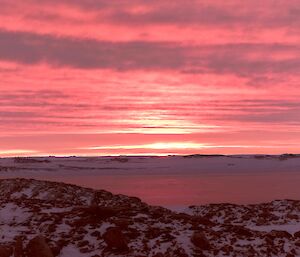 The sunset of pinks reflected on the sea ice with rocks in the foreground