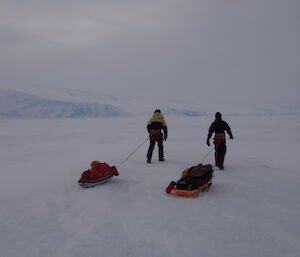 Two expeditioners towing sleds on an overcast day on the sea ice