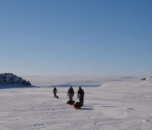 Three expeditioners hauling sleds on the sea ice
