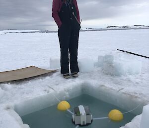 Rebecca McWatters monitoring the tide gauge though the night to make sure it doesnt freeze up