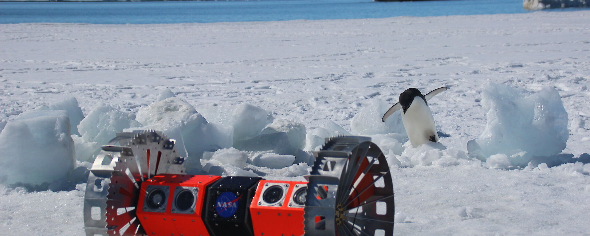 Robot on the sea ice with an Adélie penguin