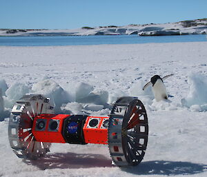 Robot on the sea ice with an Adélie penguin