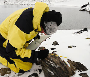 Davis expeditioners at Deep Lake