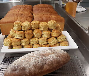 Antarctic chef baking