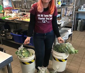 Antarctic hydroponics harvest