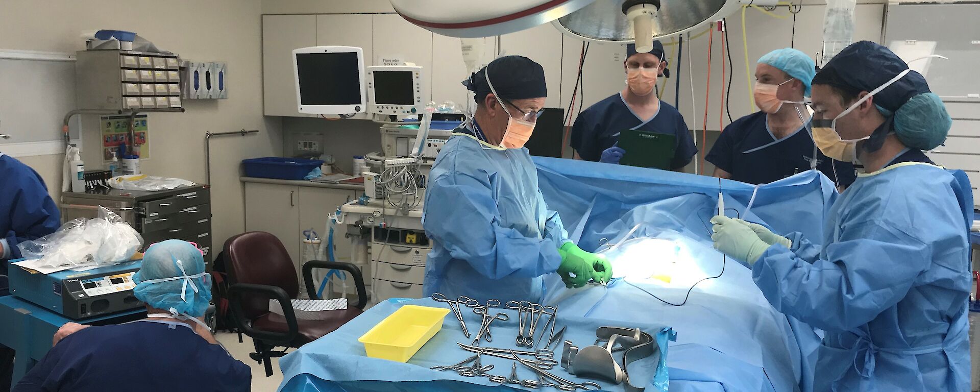Davis lay surgical team
