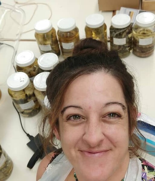 Blanche D'Anastasi sea snake research