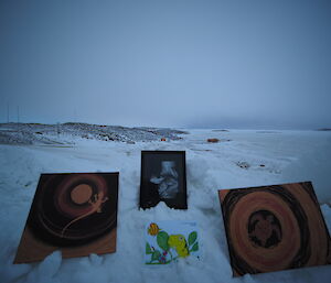 Antarctic art work